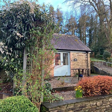 פלימות' Maristow Cottages, Overlook Tamar Valley Dartmoor מראה חיצוני תמונה