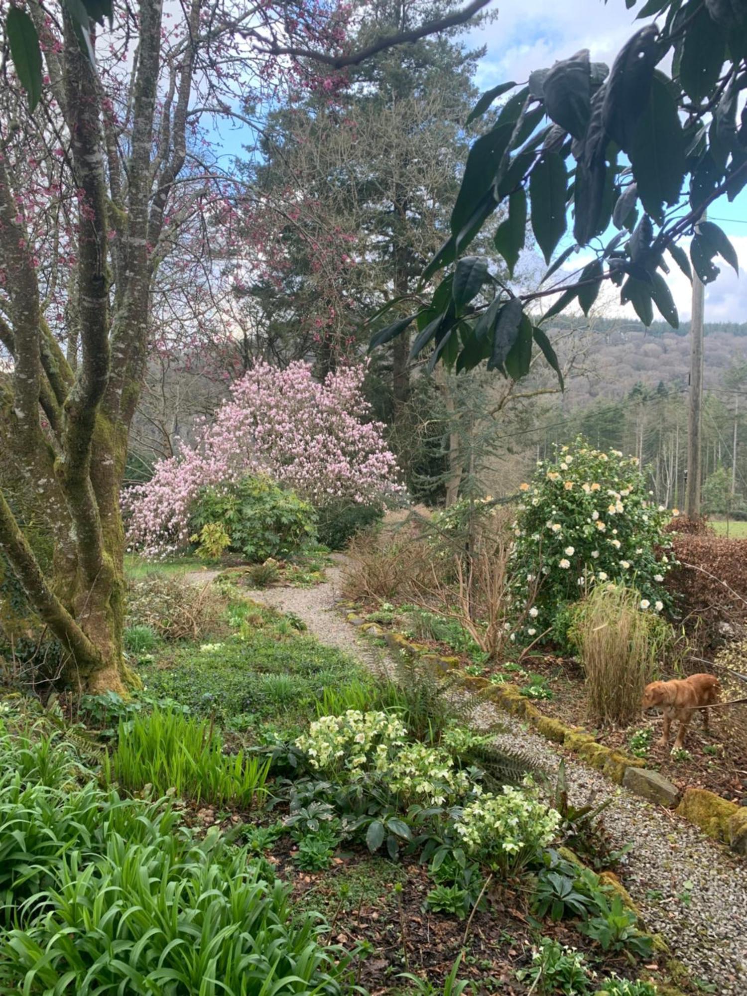 פלימות' Maristow Cottages, Overlook Tamar Valley Dartmoor מראה חיצוני תמונה