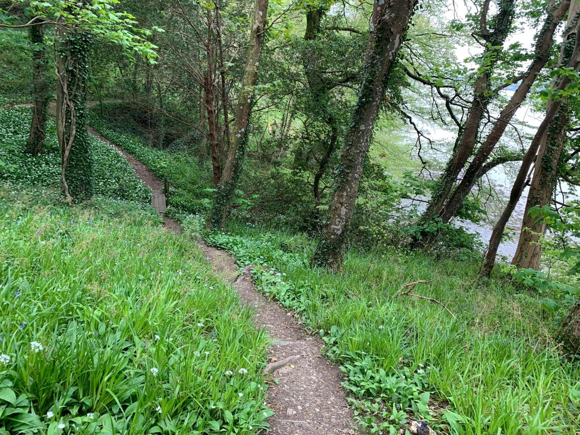 פלימות' Maristow Cottages, Overlook Tamar Valley Dartmoor מראה חיצוני תמונה