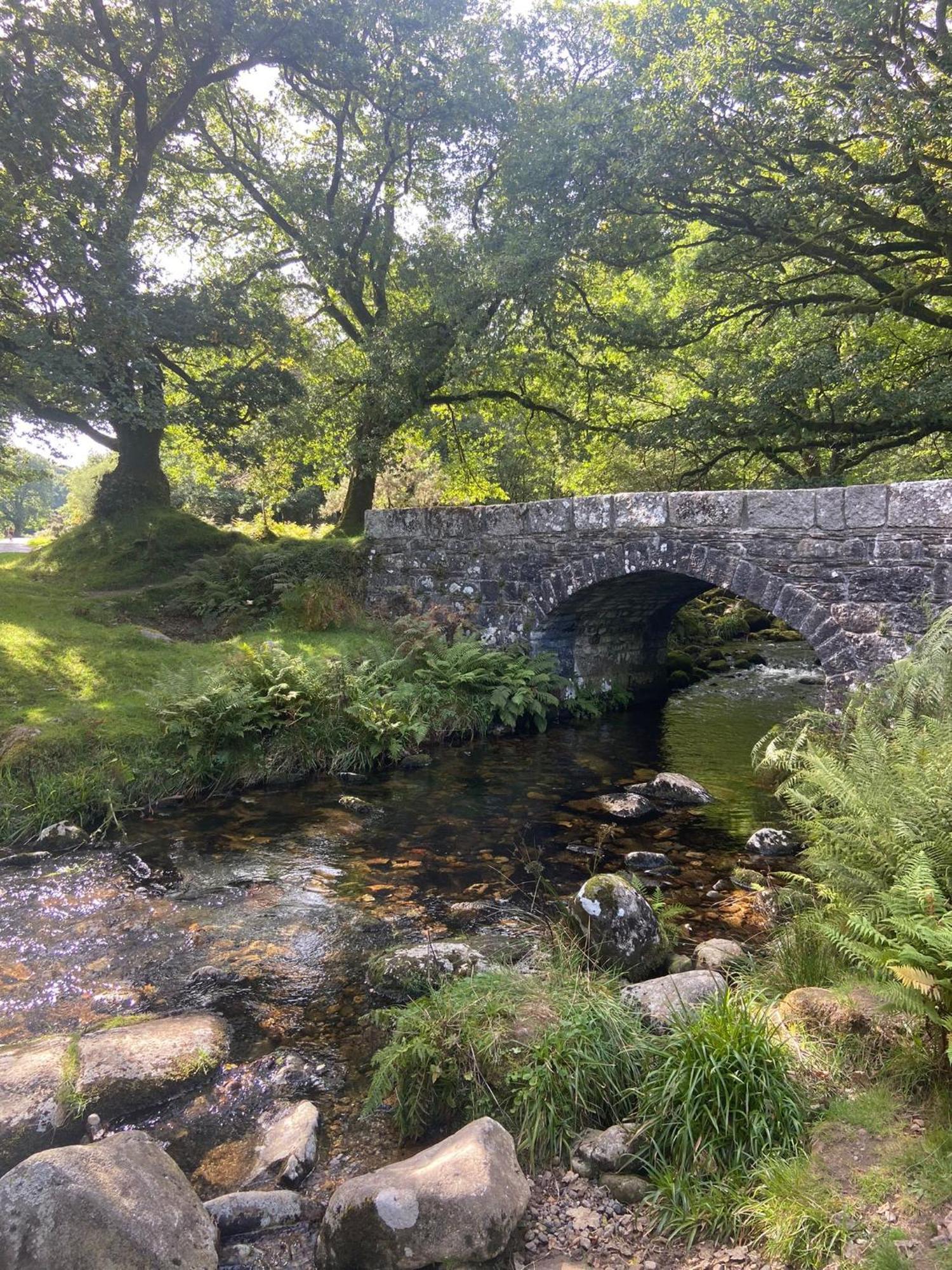 פלימות' Maristow Cottages, Overlook Tamar Valley Dartmoor מראה חיצוני תמונה