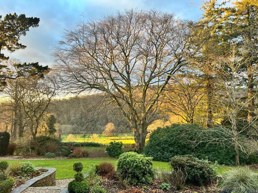 פלימות' Maristow Cottages, Overlook Tamar Valley Dartmoor מראה חיצוני תמונה